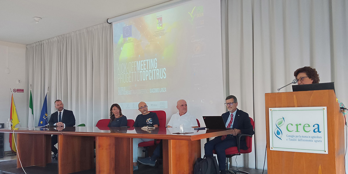 Top Citrus valorizza la filiera agrumicola siciliana